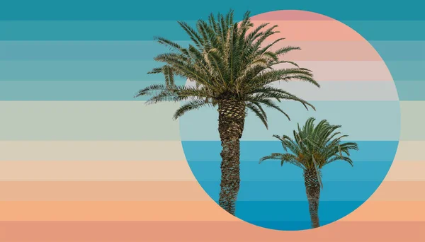 Vacker Abstrakt Surrealistisk Palm Träd Geometriska Landskap Collage Koncept Samtida — Stockfoto
