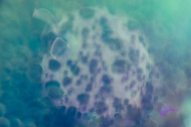 Güzel soyut renkli Bokeh. Tasarım için arkaplan deseni. 