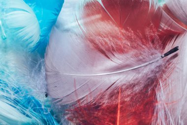 Çok renkli güzel trendleri, kuş tüyü desenli arka planı kapatın. Makro fotoğrafçılık görünümü.