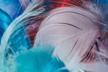 Çok renkli güzel trendleri, kuş tüyü desenli arka planı kapatın. Makro fotoğrafçılık görünümü.