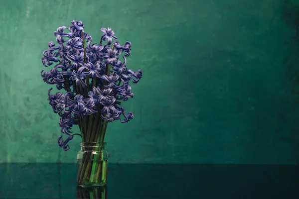 Mooie Violette Hyacint Bloemen Vaas Een Zwarte Glazen Tafel Groene — Stockfoto