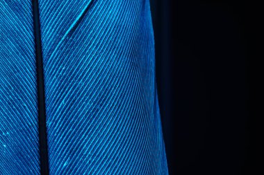 Tasarım için Güzel Mavi Kuş tüyü arkaplan desenini kapatın. Makro fotoğrafçılık görünümü. 