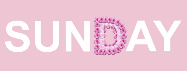 Sunday 这个词是用粉色背景的花做成的 夏天的概念 平躺在床上 — 图库照片