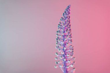 Neon ışıkta çok güzel bir bitki. Minimalizm retro tarzı konsept. 80 'ler. Tasarım için arkaplan deseni.