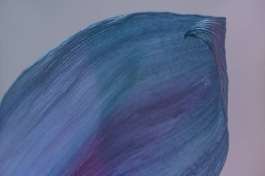 Güzel solmuş yaprağı neon ışıkta kapat. Minimalizm retro tarzı konsept. 80 'ler. Tasarım için arkaplan modeli. Makro fotoğrafçılık görünümü.