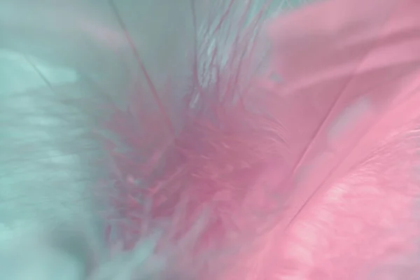 Exotische Textuur Veren Achtergrond Close Roze Aquamarijn Veren Patroon Voor — Stockfoto
