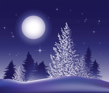 Kış manzarası. Gece orman moon ile.