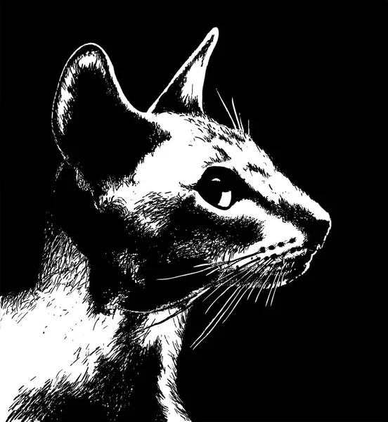A macska profilja. — Stock Vector