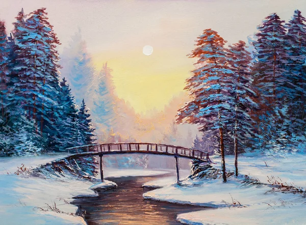 Little bridge and snow covered landscape — Stock Photo, Image