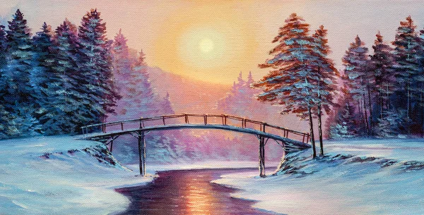 Pequeño puente y paisaje cubierto de nieve —  Fotos de Stock