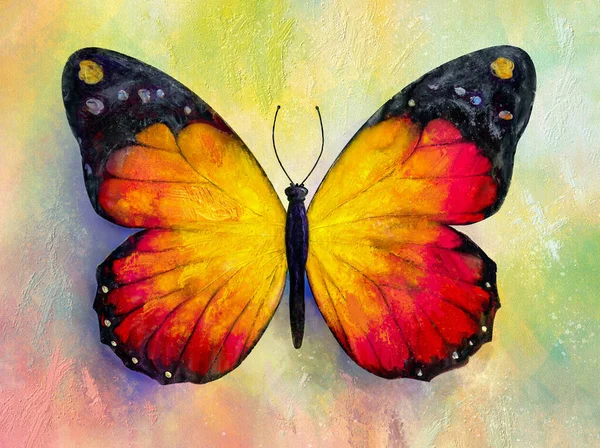 Peinture Papillon Lumineux Sur Fond Grunge — Photo