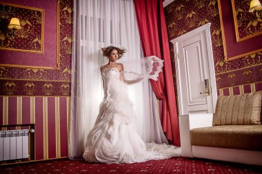 Bir genç güzel Bayan gelinle mükemmel saç, beyaz dantel uzun tren, değerli taşlar, stüdyo fotoğraf oturumunda ayakta poz ile süslenmiş ile gelinlik.