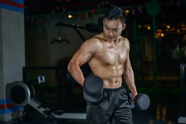 Genç Çince atletik spor eğitim dostum. Yapmak egzersiz halter ile. Spor fitness fotoğraf 