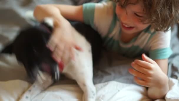 Um menino brinca com um cachorro em casa . — Vídeo de Stock