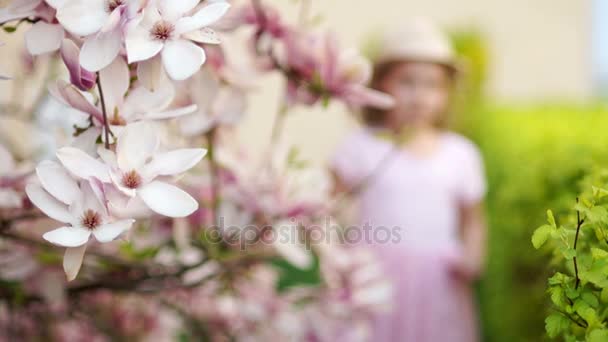 Kleines Mädchen, das die Blüten der Magnolie im Garten riecht. — Stockvideo