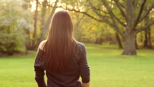 Portret van een jonge mooie brunette met lange haren. — Stockvideo