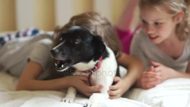 Petit frère et sœur en pyjama fait maison caresse un petit chien poilu . — Video