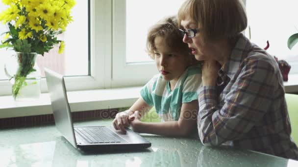 The boy of younger school age helps the elderly woman to master the computer. — Stock Video