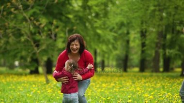 Onun üç torun ile enerjik bir anneanne dandelions bir bahar glade içinde yürür. Çocuk büyükanne için çalıştırın ve onu kucaklamak. Süreklilik nesiller, aile sevgisi, eğlenceli hafta sonu