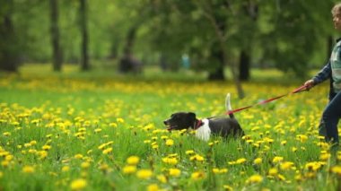 Kardeşler köpek ile birlikte, neşeli, mutlu çocuk, parlak renkler çalıştırmak.