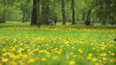 Kardeş köpekle birlikte, neşeli, mutlu çocuk, parlak renkler çalıştırmak.