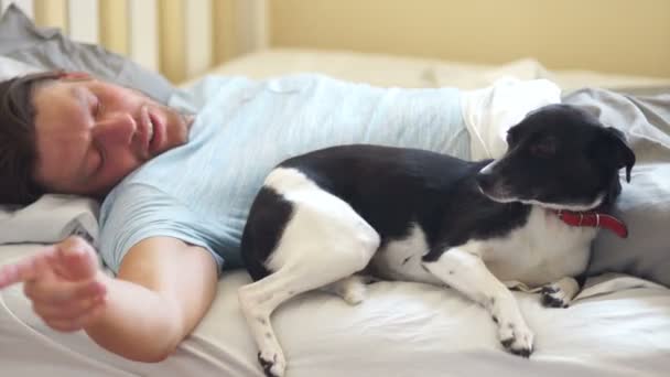 Un hombre ahuyenta a un perro de la cama. Luego sacude la sábana con la mano de la lana — Vídeos de Stock