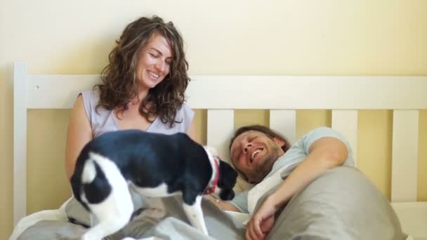 Junges erwachsenes Paar mit Hund im Bett — Stockvideo