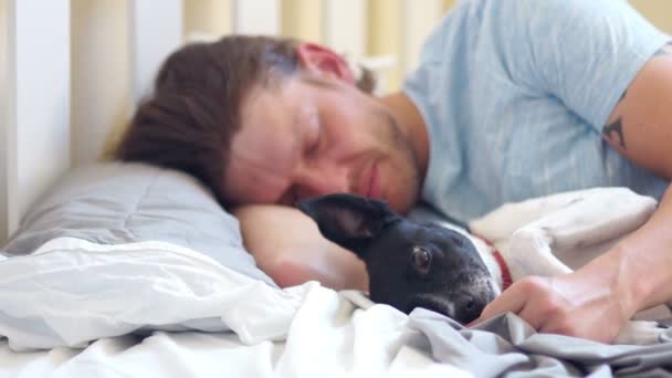 Een volwassen jongeman slaapt in zijn bed met zijn hond. Het huisdier ontwaakt de eigenaar en likt zijn handen — Stockvideo