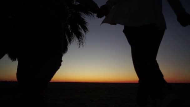 Tropických západ slunce. Rodina se dvěma dětmi odchází držení rukou. Obrysy palem — Stock video