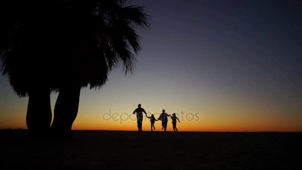 The family is spinning in a dance, holding hands. Tropical sunset with palm trees silhouette at ocean beach, woman, man and child walking along the shore — Stock Video