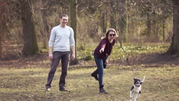 Een jong koppel rust met een hond in een park voorjaarsbijeenkomst. Het meisje gooit een stok, de hond brengt. Man en vrouw lachen en knuffel — Stockvideo