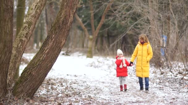 Giovane madre e figlia in una passeggiata nel parco invernale. Sono vestiti con piumini luminosi. — Video Stock