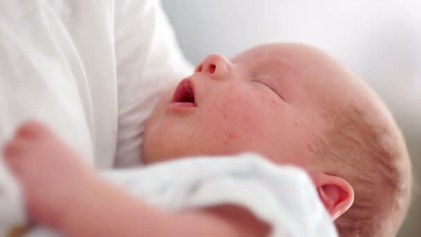 Un gran retrato de un bebé recién nacido. Un bebé de dos semanas duerme en los brazos de su madre. Día de las Madres. Concepto familiar. Moción lenta — Vídeos de Stock