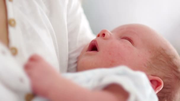 Närbild porträtt av en nyfödd baby. En två-vecka-gammal bebis sover i armarna på sin mor. Mors dag. Familjen koncept. Slow Motion — Stockvideo