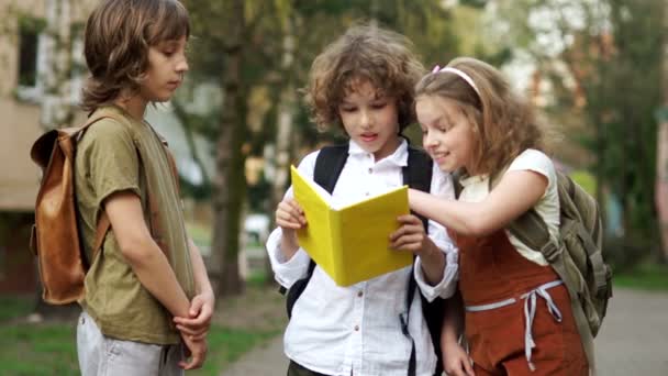 Zwei Jungen und ein Mädchen, Teenager, Schulkinder, diskutieren auf dem Schulweg ein Buch. sah das Mädchen die Hummel und erschrak. zurück zur Schule. Schulfreundschaft. Tag des Wissens — Stockvideo