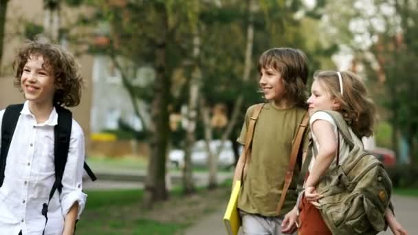 小学生, 两个男孩和一个女孩背着背包去上学。他们看着远方大笑。天的知识。返回学校 — 图库视频影像