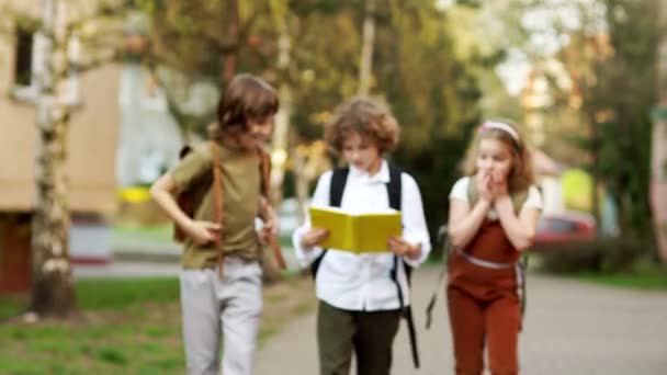 Drie scholieren bespreken enthousiast het boek op de weg van school. Terug naar school. Effectieve methoden van onderwijs — Stockvideo