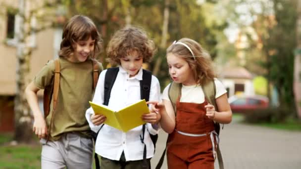 Két fiú és egy lány. Három iskolás gyerekek lelkesen beszélünk a könyv az úton, az iskolából. Vissza az iskolába. Hatékony oktatási módszerek. Gyermeknap. Nap a tudás — Stock videók