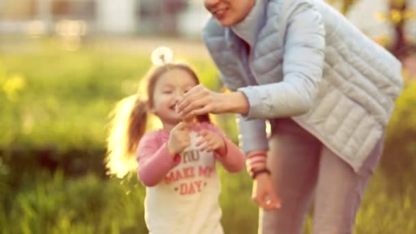 一个小女孩和她的母亲在春天的空地上抱着一只蒲公英。一个孩子挥动一朵花, 苍蝇飞走了。春节快乐。家庭日 — 图库视频影像