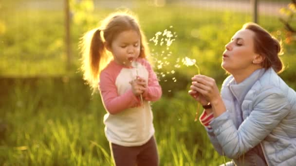 Baby and her mother are blowing gaily at the dandelion. A happy family. Happy family weekend — Stock Video