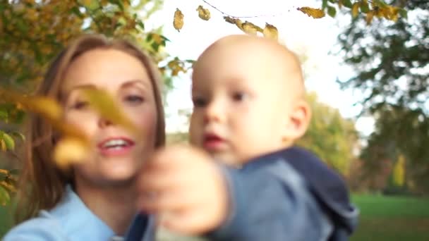 Mutlu bir anne bir buçuk yaşındaki oğlunu kollarına alır ve neşeyle güler. Anneler günü, sonbahar yürüyüşü, mutlu aile. — Stok video
