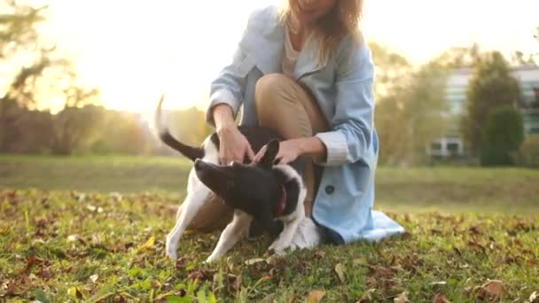 Mujer joven en un paseo con su perro en el parque de otoño. El perro se está sacudiendo. Mestizo blanco y negro — Vídeos de Stock