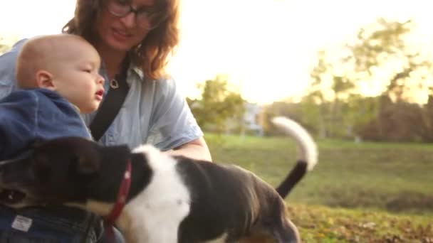 İki genç kadın, bir çocuk ve bir köpek güneşli bir günde sonbahar parkında eğleniyorlar. Samesex çifti — Stok video