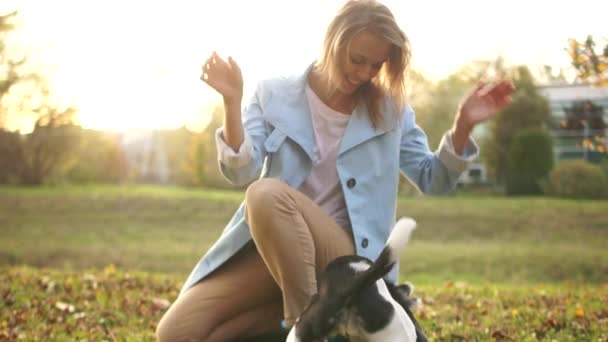 Encantadora joven con una capa azul está jugando en el parque con su perro blanco y negro. Caminata de otoño con una mascota — Vídeos de Stock