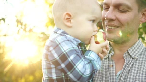 Glücklicher junger Vater beim Spielen mit seinem kleinen Sohn an sonnenwarmen Herbst- oder Sommertagen. wunderschönes Sonnenuntergangslicht im Apfelgarten oder im Park. Glückliches Familienkonzept — Stockvideo