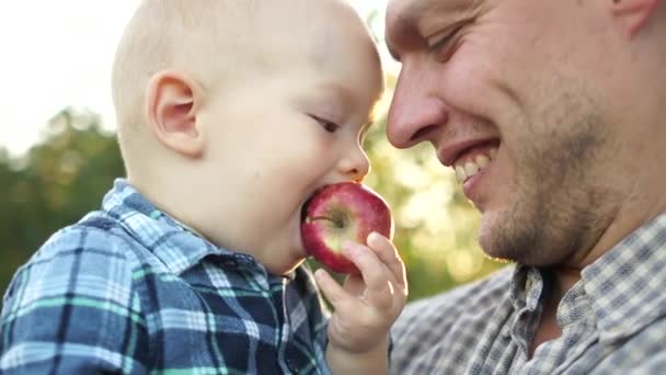 父親の腕の中でリンゴを食べている子供の肖像画を閉じます。父の日、健康的な食事 — ストック動画