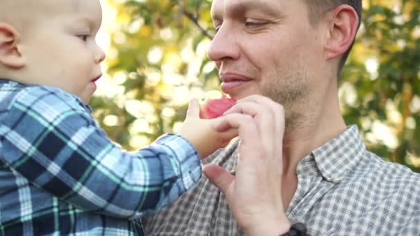 Nära porträttet av ett litet barn och hans far som äter ett äpple i skoj på en promenad. Höstporträtt, lycklig familj, fars dag, far och son — Stockvideo