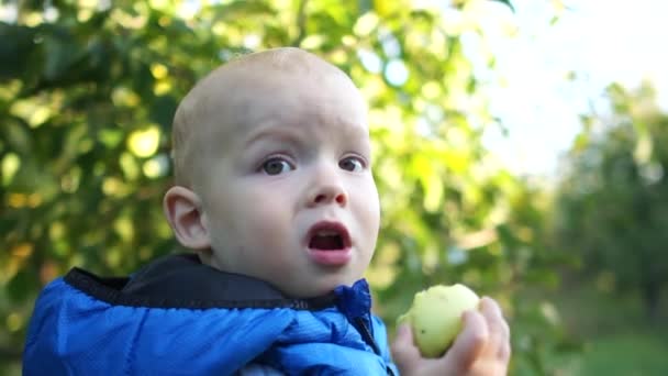 Близкий портрет. Малыш Тоддлер в синей куртке проходит через яблоневый сад и ест зеленое яблоко. Счастливый ребенок — стоковое видео