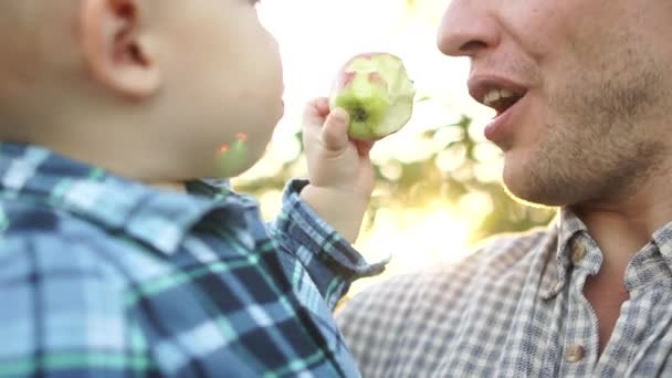 Dicht portret van een gelukkige peuter in zijn jonge vaders armen. Een man en een kind in de herfsttuin bij zonsondergang. Een jongen houdt een appel in zijn hand, oogstend — Stockvideo