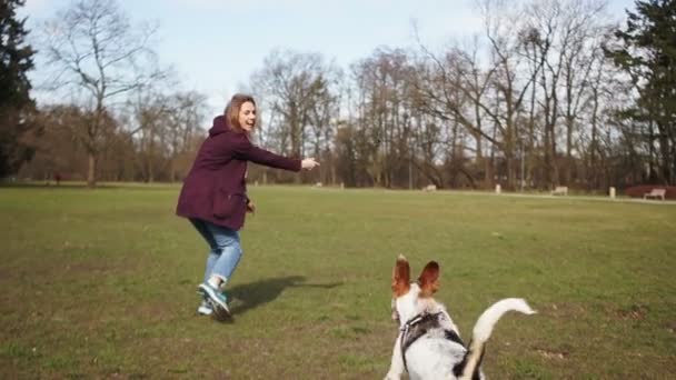 Kedves fiatal lány játszik és fut a kutyájával egy parkban. Sétálj az állattal, sétáltasd a kutyát. — Stock videók